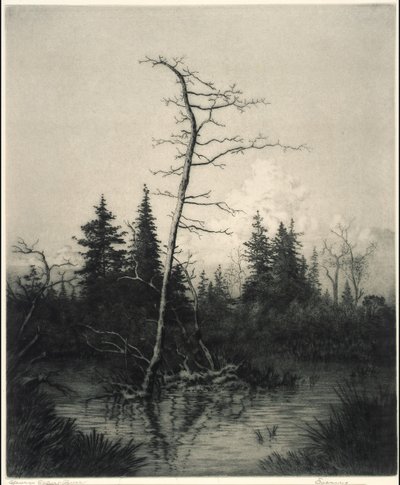 Evening by George Elbert Burr