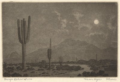 Moonlight-Phoenix by George Elbert Burr