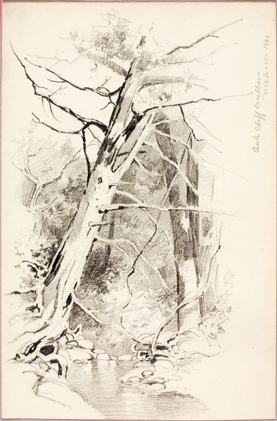 Oak Cliff, Dallas by George Elbert Burr