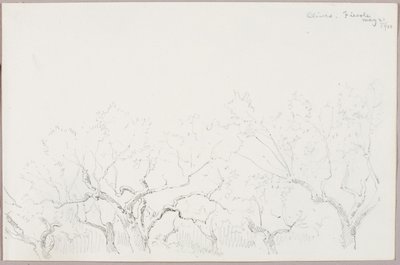 Olives--Fiesole by George Elbert Burr