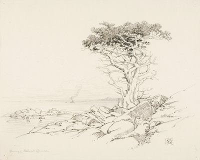 Untitled by George Elbert Burr