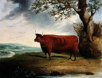 Portrait of a Brown Cow by George Fenn