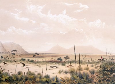 Kangaroo Hunt by George French Angas
