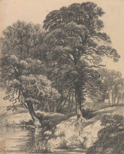 A Wooded Landscape with Pool by George Frost