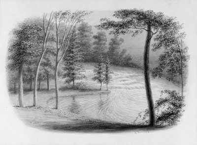 A Brook from Hosack Album by George Harvey