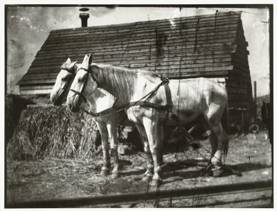 Horses on the Cruquiusweg by George Hendrik Breitner