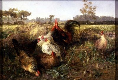 Fowls in the Stubble by George Hickin