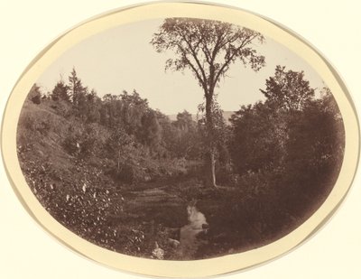 Landscape near Williams College by George Kendall Warren