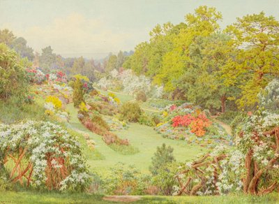 Spring Blooms by George Marks