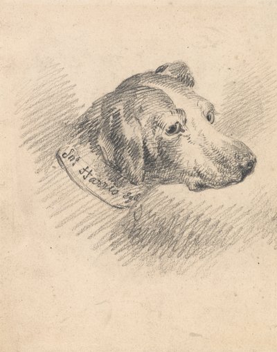 Head of a Hound by George Morland