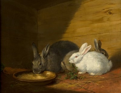 Rabbits by George Morland