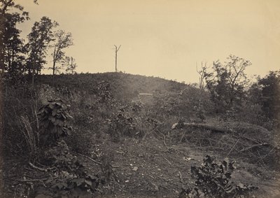 Pine Mountain by George N. Barnard