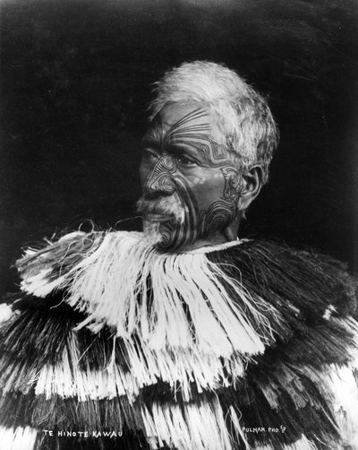 Te Hinote Kawau, c.1860-71 by George Pulman