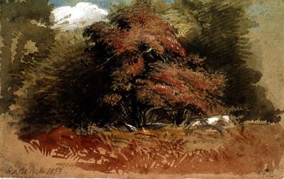 Knole Park by George Richmond
