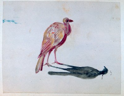 Bird by George Sand