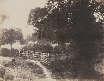 Green Meadows by George Shadbolt