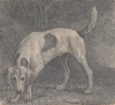 A Foxhound on the Scent by George Stubbs