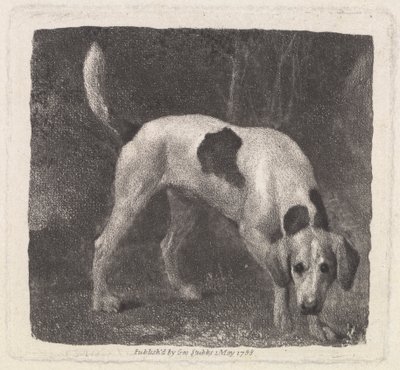 A Foxhound on the Scent by George Stubbs