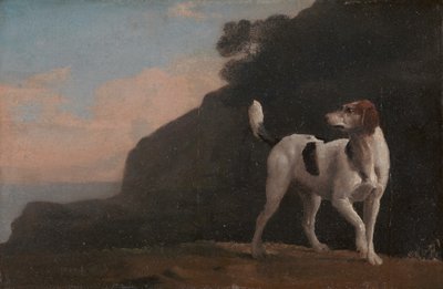 Foxhound, ca. 1760 by George Stubbs