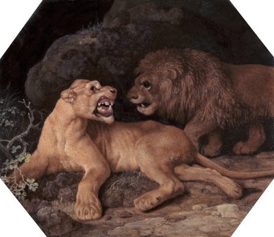 Lion and Lioness, 1770 by George Stubbs