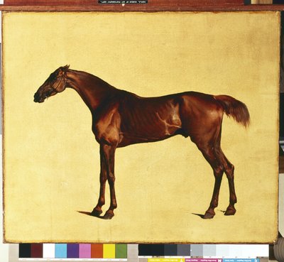 Pangloss by George Stubbs