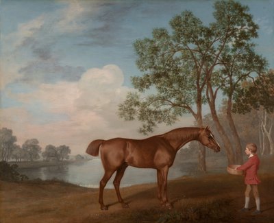 Pumpkin with a Stable-lad by George Stubbs