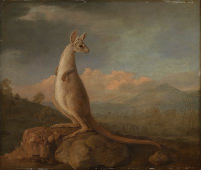 The Kongouro from New Holland (Kangaroo) by George Stubbs