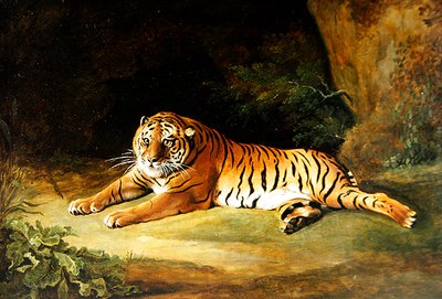 Tiger by George Stubbs