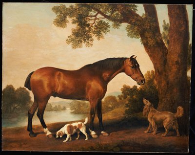 Unknown Image by George Stubbs