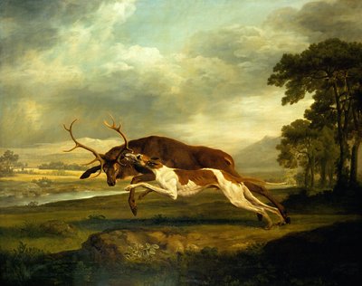 Unknown Image by George Stubbs