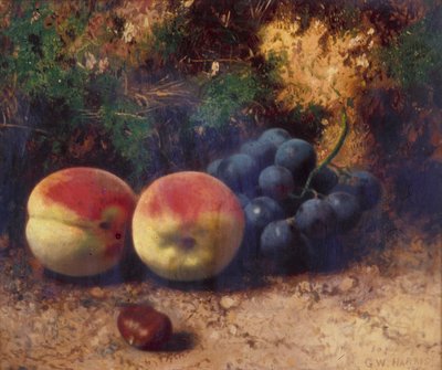 Peaches and Grapes by George Walter Harris