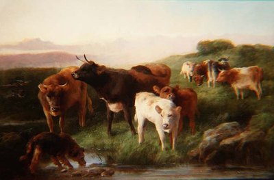 Highland Cattle Grazing by George Wiliam Horlor