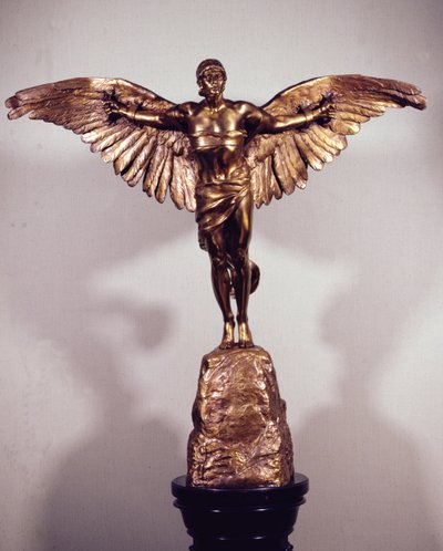 The Conquest of the Air by Georges Colin