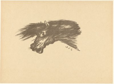 Head of a Horse Etude L