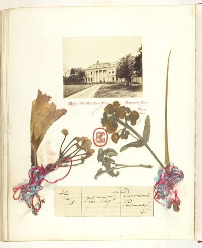 Untitled by Georgina Cowper