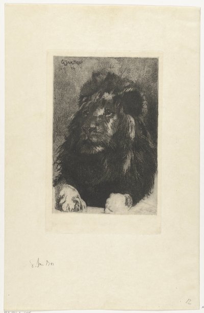 Head of a Lion by Gerard Jan Bos