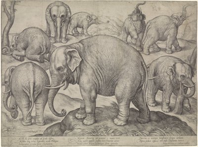 Eight Elephants by Gerard van Groeningen