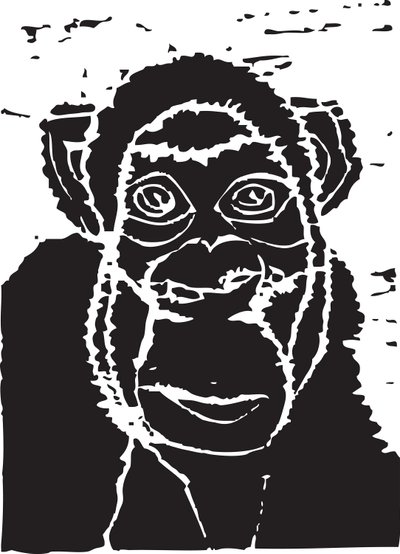Chimpanzee by Gerhardt Isringhaus