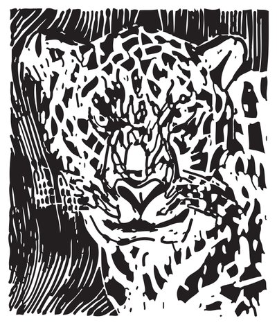 Leopard by Gerhardt Isringhaus