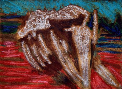 Whale Skeleton by Gerhardt Isringhaus