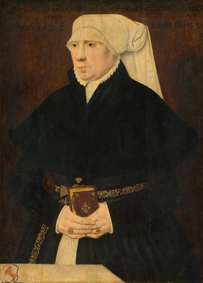 Portrait of a Lady by German 16th Century