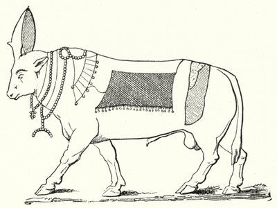 Apis, sacred bull of Ancient Egypt (engraving) by German School