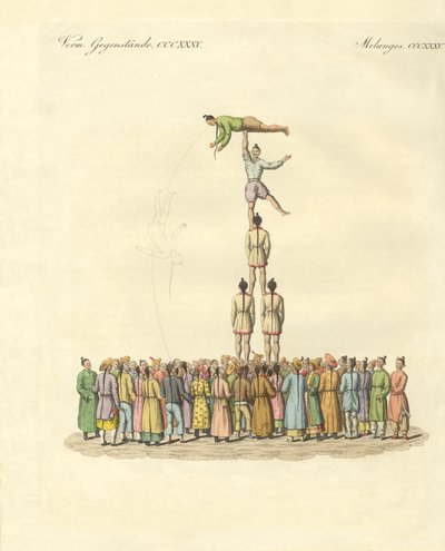 Chinese Bateleus by German School