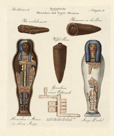 Egyptian Mummies by German School