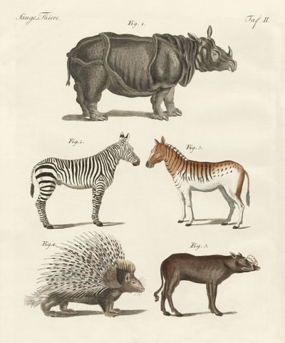 Four-footed animals by German School