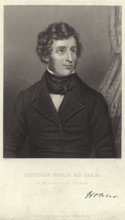 Friedrich Wöhler by German School