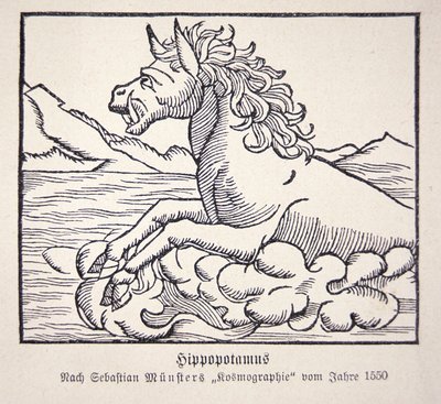 Hippopotamus from Sebastien Münster