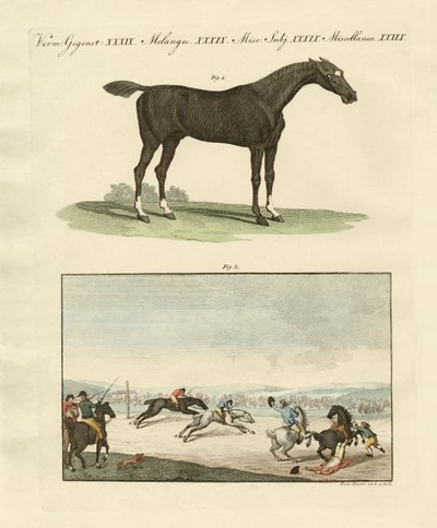 Horse Races in England by German School