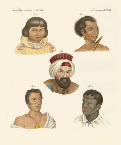 Illustration of the Main Human Races by German School