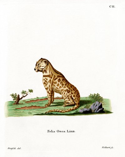 Jaguar by German School